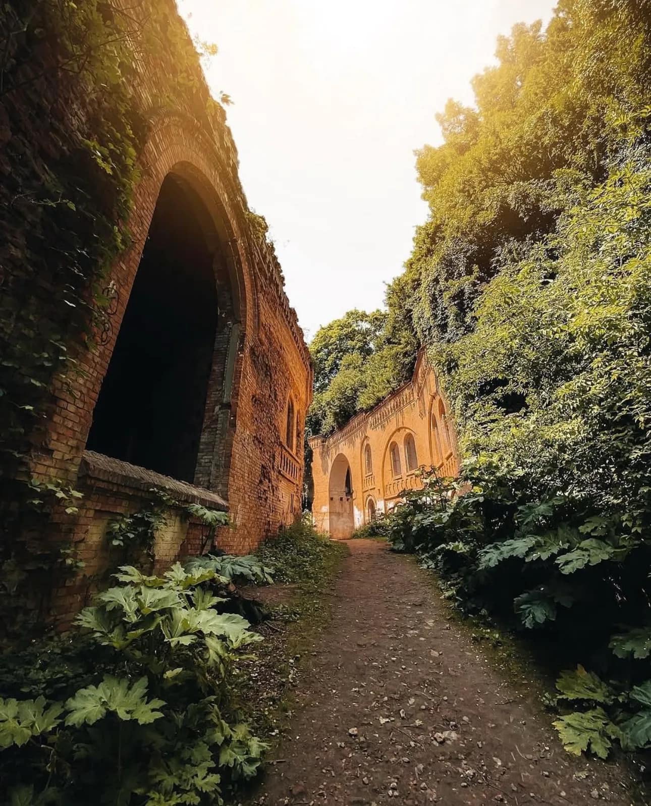 Маршрут №3. Тараканівський форт: постапокаліпсис - фото 6