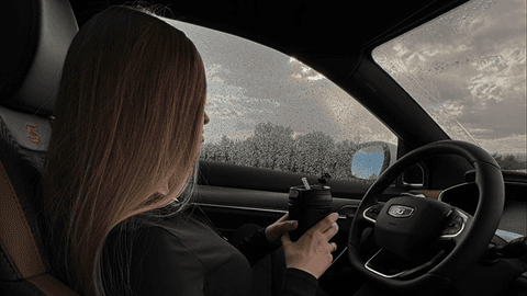 Водитель за рулем — минимальный возраст арендатора от 21 года